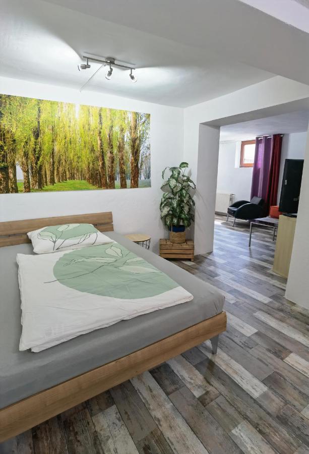 Ferienwohnung - Appartement "Painted Horse" Im Herzen Des Pfaelzer Waldes Reichenbach-Steegen 外观 照片
