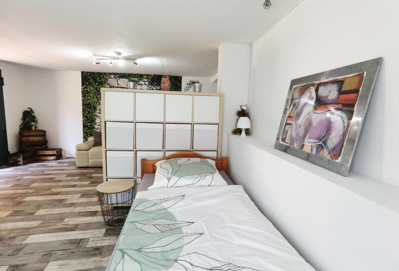 Ferienwohnung - Appartement "Painted Horse" Im Herzen Des Pfaelzer Waldes Reichenbach-Steegen 外观 照片
