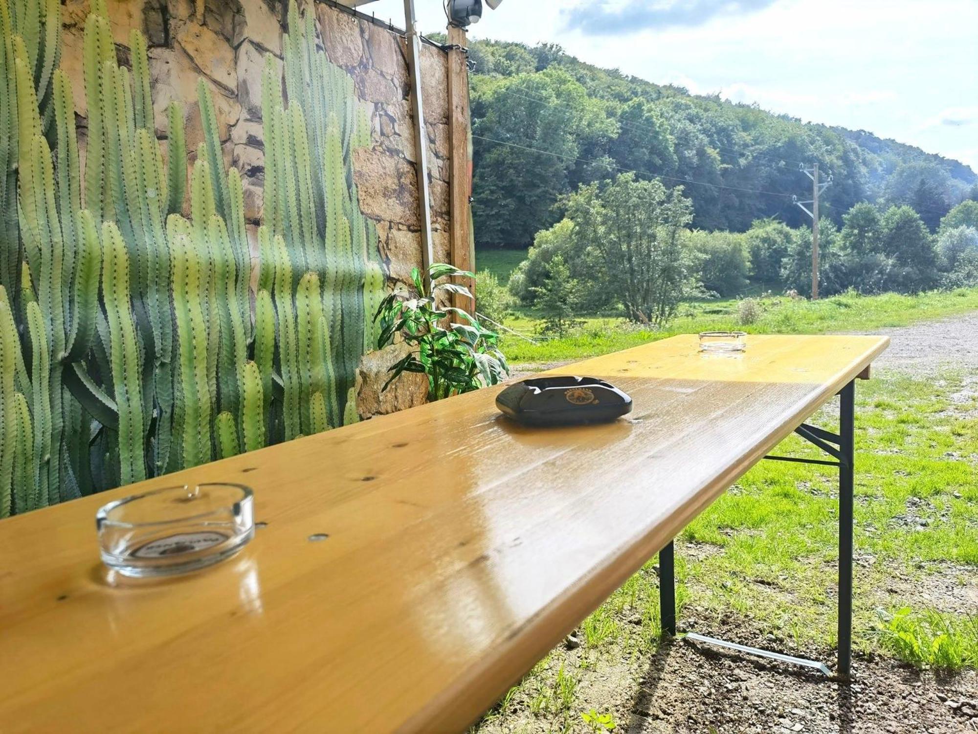 Ferienwohnung - Appartement "Painted Horse" Im Herzen Des Pfaelzer Waldes Reichenbach-Steegen 外观 照片