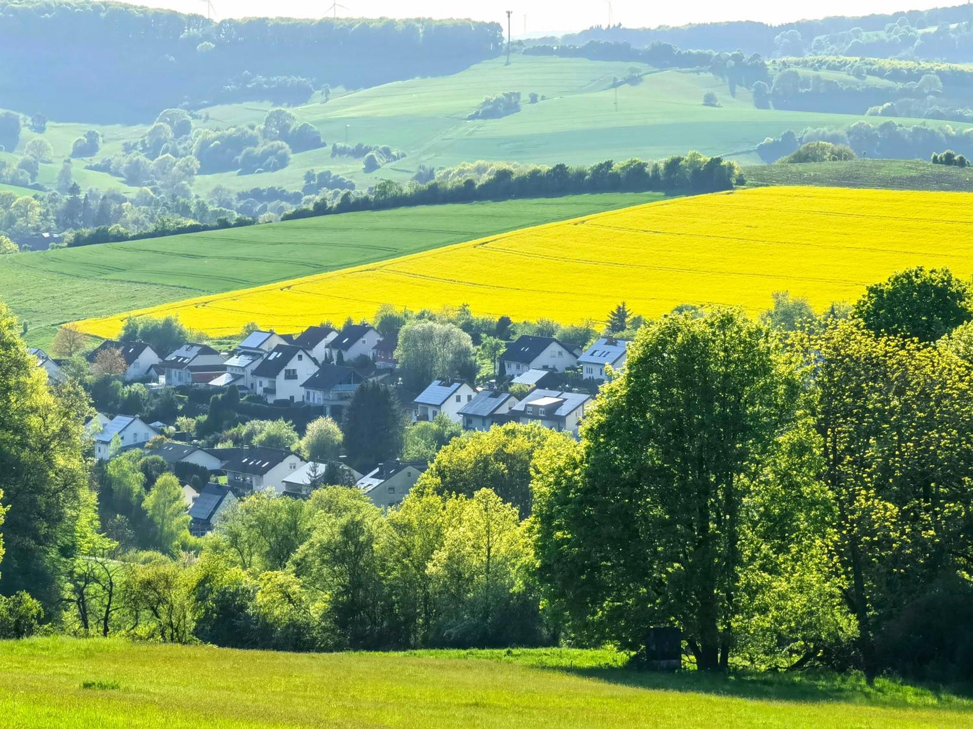 Ferienwohnung - Appartement "Painted Horse" Im Herzen Des Pfaelzer Waldes Reichenbach-Steegen 外观 照片